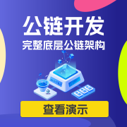 公链生态:去中心化未来的基石
